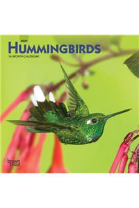 Hummingbirds 2021 Mini 7x7