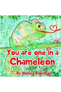 You Are One in a Chameleon