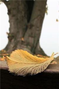 A Yellow Leaf at the End of Autumn Journal