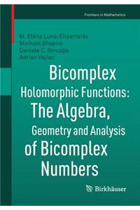 Bicomplex Holomorphic Functions