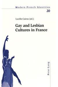 Gay and Lesbian Cultures in France