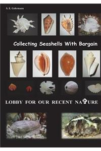 Collecting Seashells with Bargain