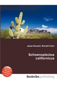 Schoenoplectus Californicus