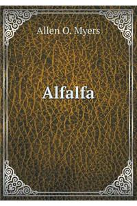 Alfalfa