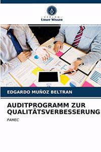 Auditprogramm Zur Qualitätsverbesserung
