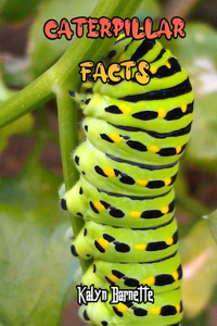 Caterpillar Facts