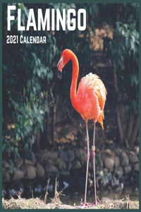 Flamingo 2021 Calendar