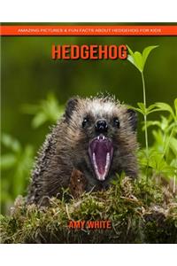 Hedgehog