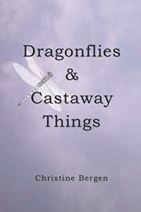 Dragonflies & Castaway Things