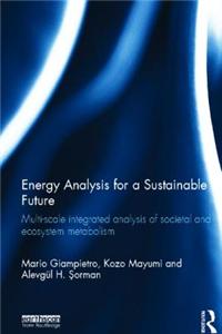 Energy Analysis for a Sustainable Future