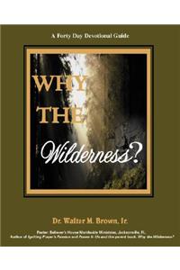 Why the Wilderness: A Forty Day Devotional Guide