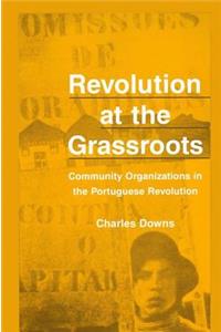 Revolution at the Grassroots