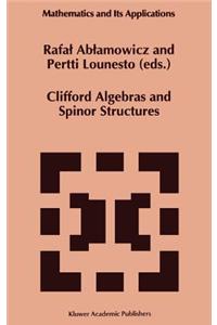 Clifford Algebras and Spinor Structures