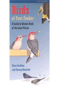 Birds at Your Feeder
