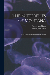 Butterflies Of Montana