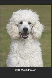 Plan On It 2020 Weekly Calendar Planner - I Love Poodles - Let's Play!