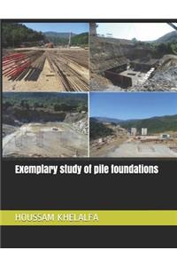 Exemplary study of pile foundations