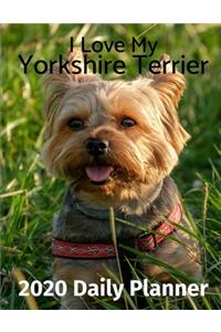 I Love My Yorkshire Terrier