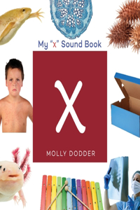 My X Sound Book