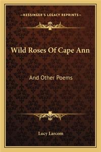 Wild Roses of Cape Ann