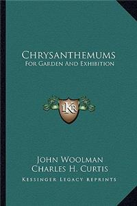 Chrysanthemums