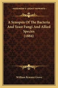 Synopsis Of The Bacteria And Yeast Fungi And Allied Species (1884)