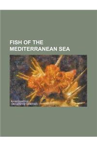 Fish of the Mediterranean Sea