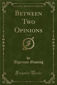 Between Two Opinions, Vol. 3 of 3 (Classic Reprint)