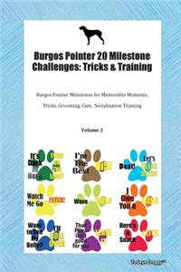 Burgos Pointer 20 Milestone Challenges