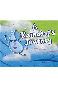 A Raindrop's Journey