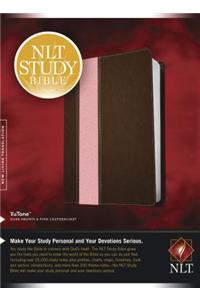 Study Bible-NLT