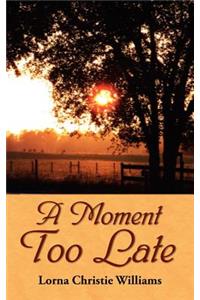 Moment Too Late