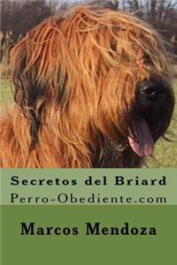 Secretos del Briard