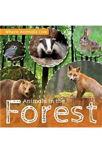 Animals in the Forest