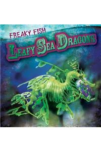 Leafy Sea Dragons