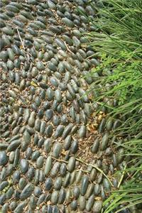 Garden Stone Notebook