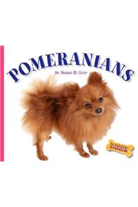 Pomeranians