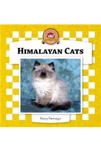 Himalayan Cats