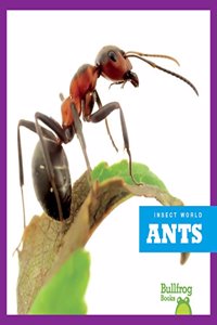 Ants