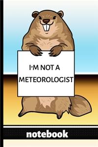 I'm Not a Meteorologist - Notebook