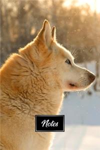 Siberian Husky Huskies Dog Pup Puppy Doggie Notebook Bullet Journal Diary Composition Book Notepad - Sunbeams in Snow