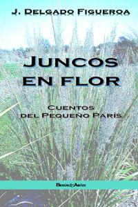 Juncos en flor