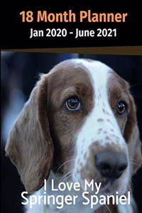 Jan 2020 - June 2021 18 Month Planner