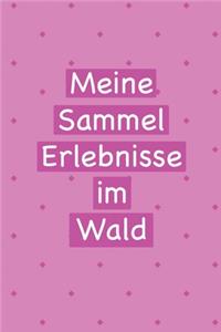 Meine Sammel Erlebnisse im Wald
