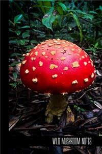 wild mushroom notes