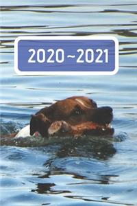 Pet Lake Life Dated Calendar Planner 2 years To-Do Lists, Tasks, Notes Appointments
