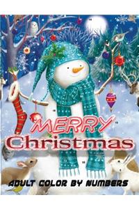 Merry Christmas Adult Color By Numbers