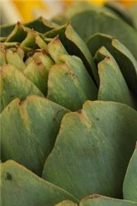 Yummy Freshly Harvested Artichokes Journal