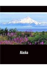 Daily Organizer and Planner