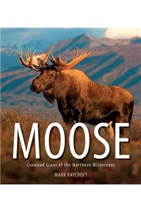Moose: Crowned Giant of the Northern Wilderness